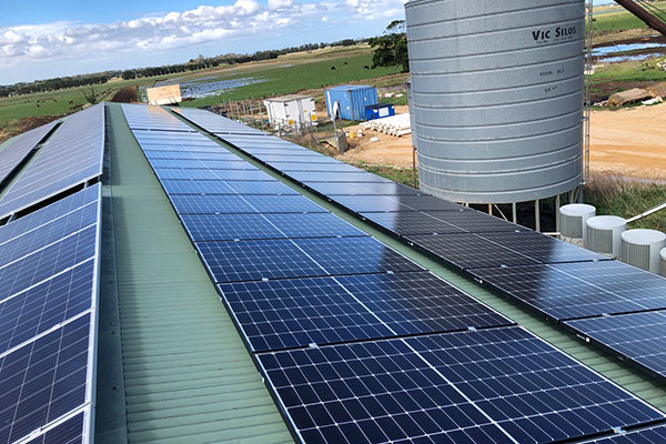 How Do Solar Panels Work?