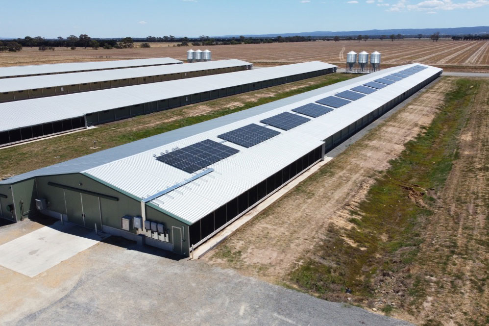 Solar For Your Business: A Beginner’s Guide